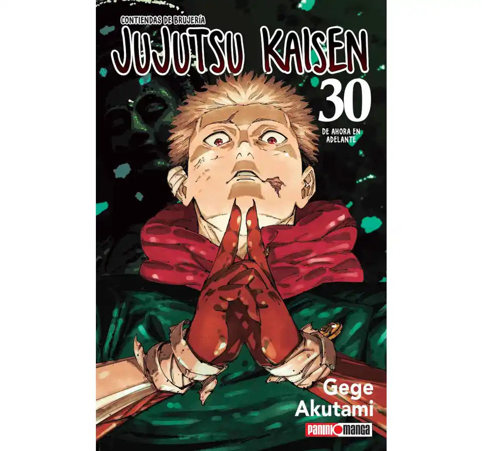 Jujutsu Kaisen N.30
